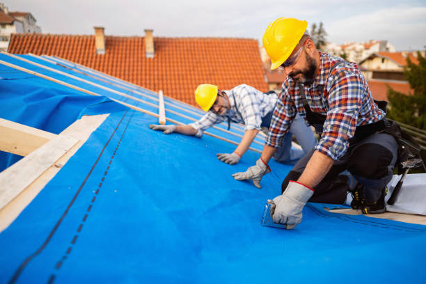 Best Roof Insulation Installation  in Dorneyville, PA